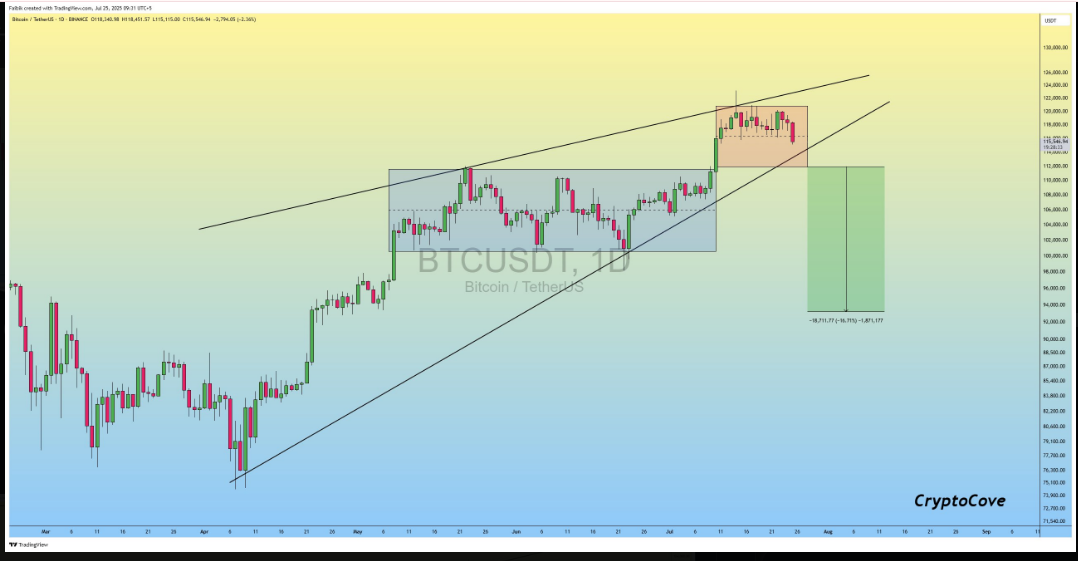 Bearish Wedge Puts Bitcoin on Edge: Will $113K Hold or Break? image 1
