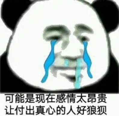 韭菜日记①:Meme 虐我千百遍,我待 Meme 如初恋 image 5