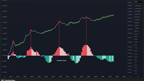Các chu kỳ thị trường Bitcoin không xoay quanh các đợt halving: Chuyên gia phân tích