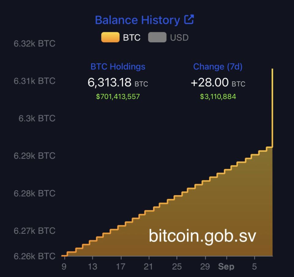 Биткоин-активы Сальвадора превысили $700 млн image 0