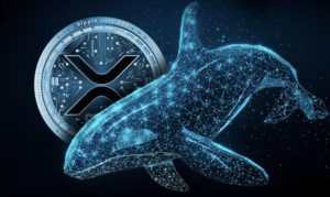 Penjualan Besar-besaran Ripple (XRP) oleh Whale, Apakah Harga Akan Terjun?