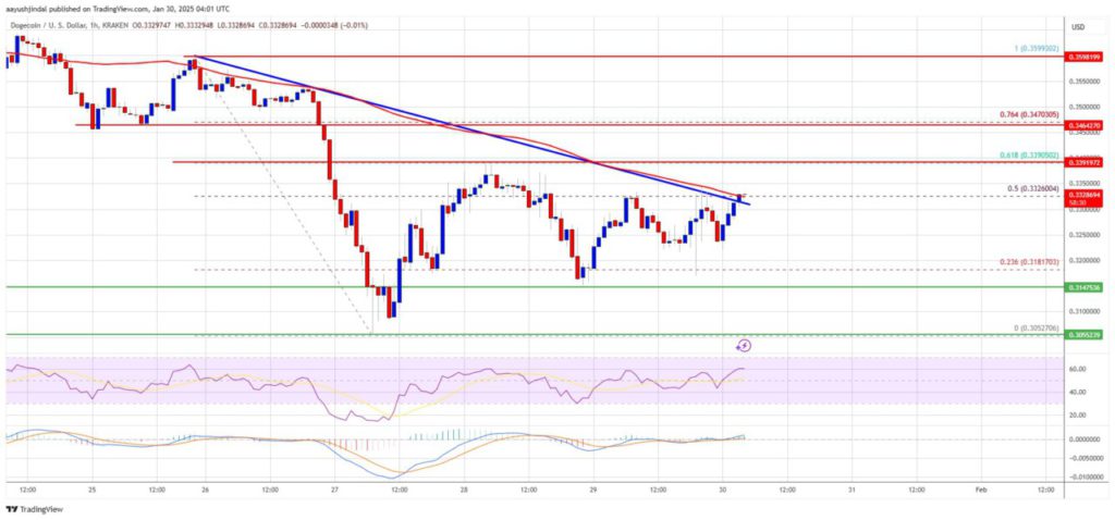 Dogecoin (DOGE) Berpotensi Naik ke Rp5.528: Tren Bullish atau Koreksi di Depan? (31/1/25) image 0