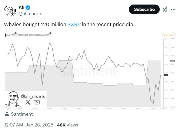 XRP-News: Ripple Wale kaufen weitere 120 Millionen XRP – Ex-Manager hat aufregende Neuigkeiten ankündigt