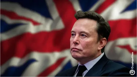 Elon Musk’s Tesla is targeting UK energy market