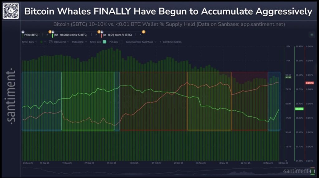 Whale Alert! 5 Crypto Ini Jadi Target Akumulasi Menjelang 2026 image 0