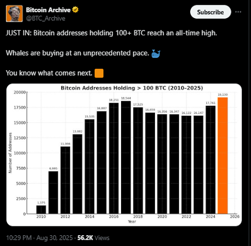 سعر البيتكوين يواجه ضعفًا في شهر سبتمبر مع وصول عناوين الحيتان إلى مستوى قياسي image 1