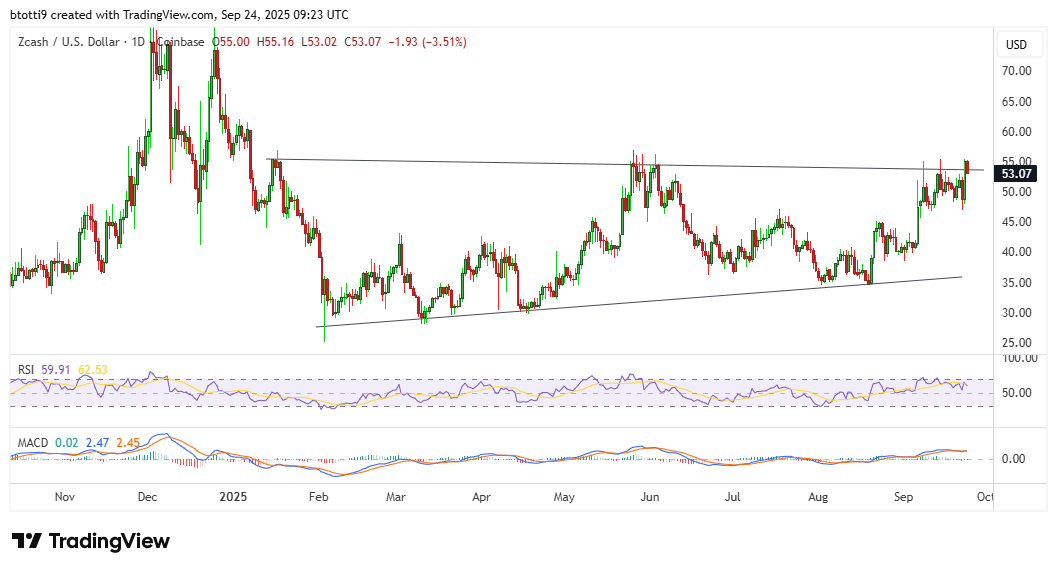 Zcash (ZEC) price surges 10% as privacy coins rally, boosted by Zashi CrossPay image 1