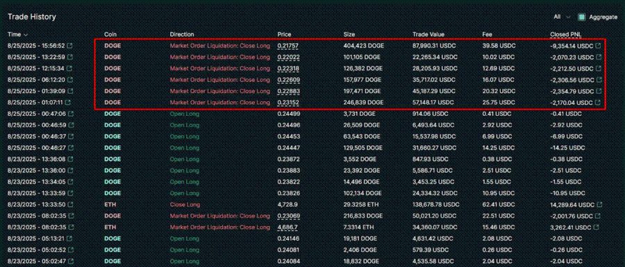 Miliarder Kripto James Wynn Kena Likuidasi $DOGE, Tapi Tetap Optimis Bull Run image 0