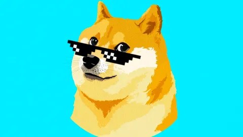 Dogecoin Whale Transactions Rise Amid Bullish Market Sentiment