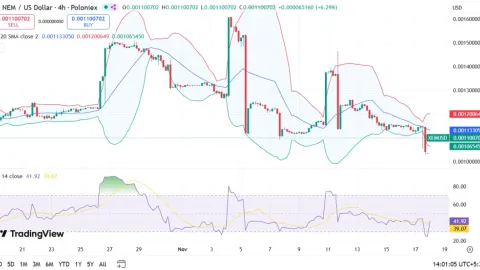 Прогноз ціни NEM на 2025, 2026 – 2030: чи зросте ціна XEM?