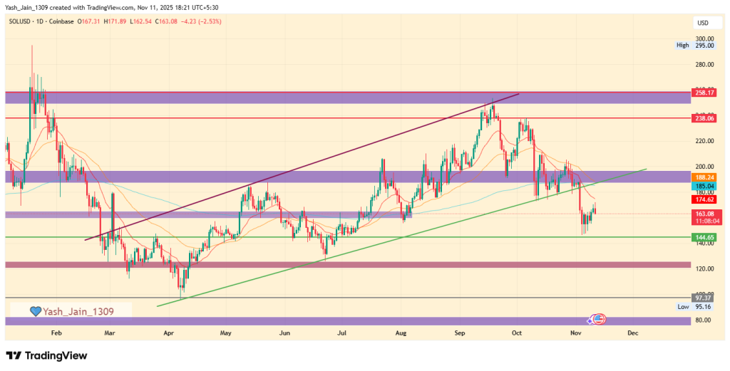 SOL價格預測2025：Solana在2025年前是否將迎來更深度的修正？ image 3