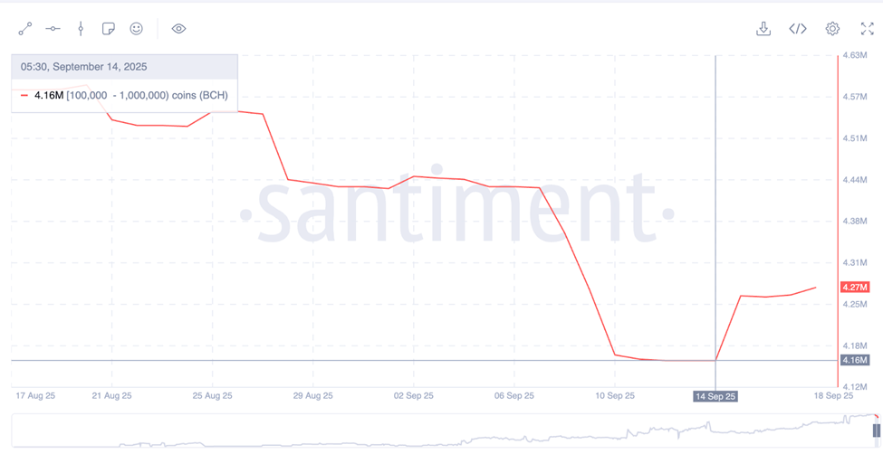 ¿Por qué ha subido hoy el precio del Bitcoin Cash (BCH) y ahora será de 750 $? image 3