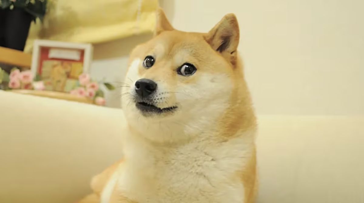 From meme to mainstream: Dogecoin ETF DOJE begins trading image 0