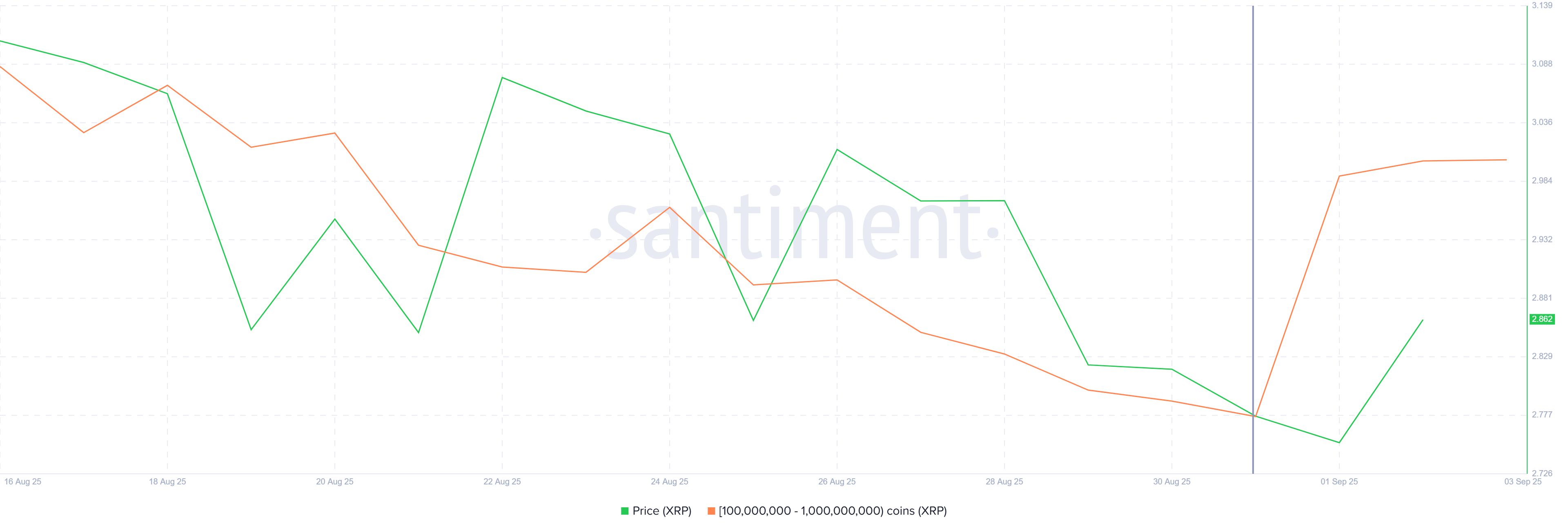 XRP Whales vs Long-Term Holders: Who Will Decide The Price Action Path? image 0