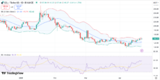 Analysts Bullish on Solana (SOL) Price Amid Whale Activity Surge image 0