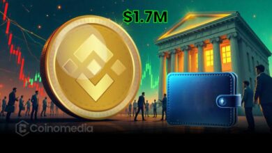 Dormant Wallet Moves $1.7M in BNB Amid Meme Coin Hype