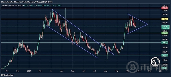 TAO 价格有望突破、将创下历史新高吗？ image 0
