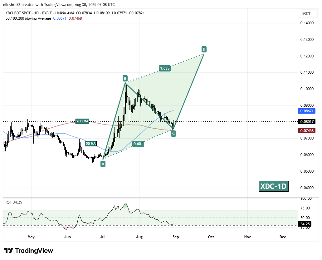 XDC Network (XDC) To Bounce Back? Key Harmonic Pattern Hints Potential Reversal image 1