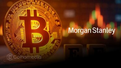 Morgan Stanley soutient Bitcoin en tant qu'actif rare