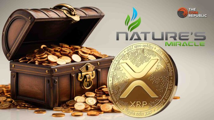 الريبل XRP يحصل على قوة دافعة مع الإعلان عن خزينة بقيمة 20 مليون دولار، و10 ملايين دولار في الأفق؟