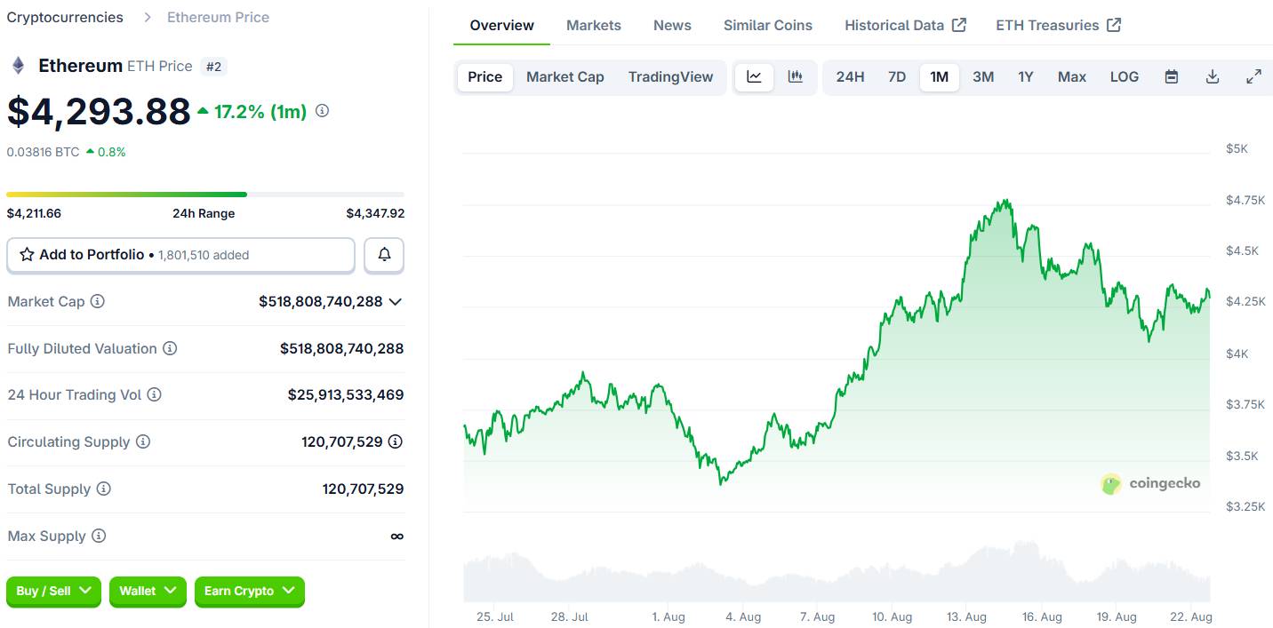 Cá voi Bitcoin