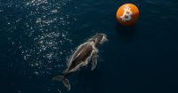 Ballena de Bitcoin acumula $356.6M en BTC