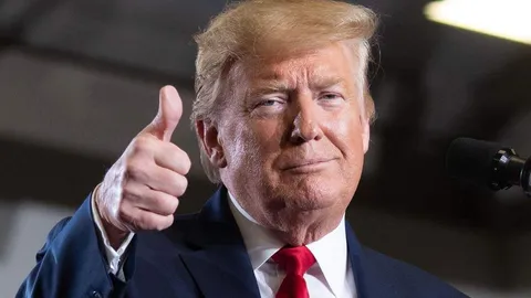 Whale Profits Big on TRUMP Token Amid Meme Coin Surge