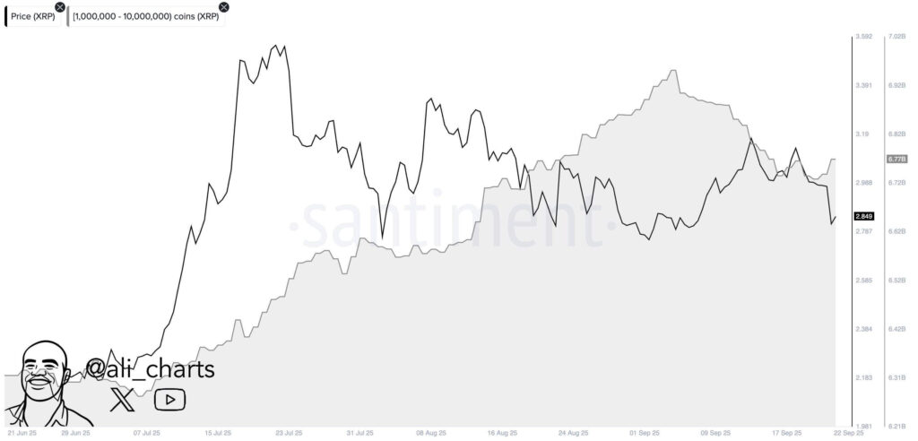 Whales Add 30M XRP as Holdings Near 6.77B, Exchange Flows Mixed with Price Possibly Stabilizing Near $2.85 image 0