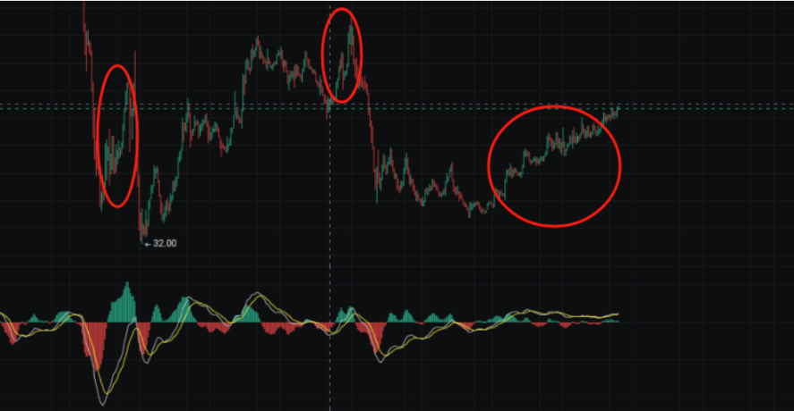 市场准备迎接美国大选行情!山寨已经进入一个小的轮翻启动状态! image 2