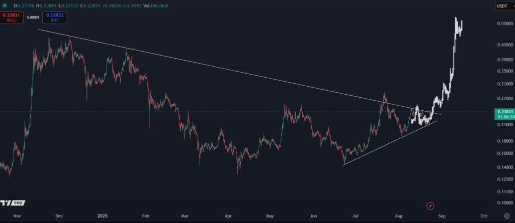 3 Altcoin yang Berpotensi Mengalami Likuidasi Besar di Akhir Agustus 2025 image 1