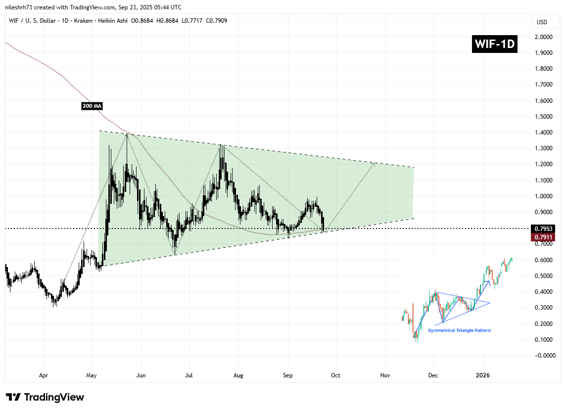 Dogwifhat (WIF) Testing Key Support – Could This Pattern Trigger a Bounce Back? image 1
