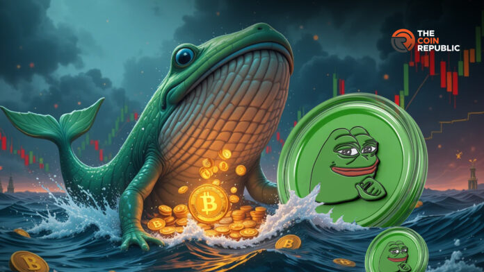 Монета Pepe “Киты” падает на фоне восстановления, упадет ли цена снова?
