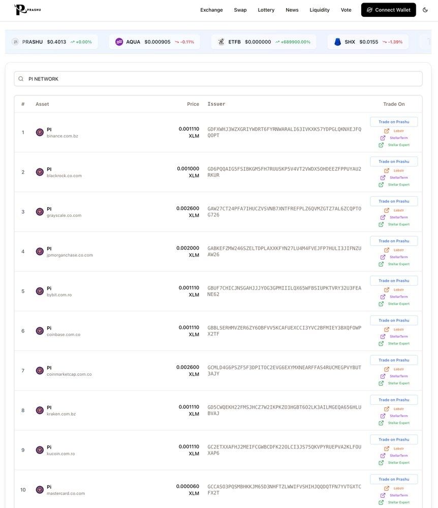Fake Pi Coins Appear on Prashu DEX Amid Unverified Stellar Integration Rumors image 0