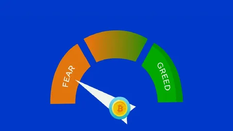 Fear Dominates Bitcoin and Crypto Markets
