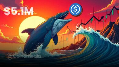 Whale Shorts $1.7M in HYPE After $5.1M USDC Deposit