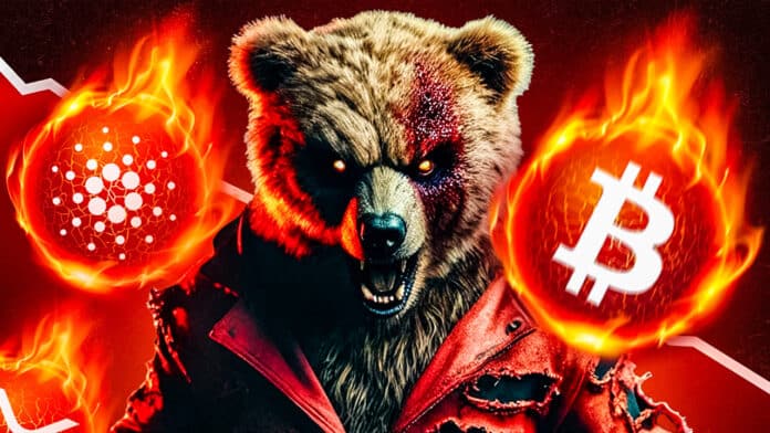 Krypto News: Mega Crash! Schlimmer als FTX, schlimmer als LUNA: der blutigste Absturz in der Geschichte von BTC, XRP & Cardano! Bullrun vorbei? image 1