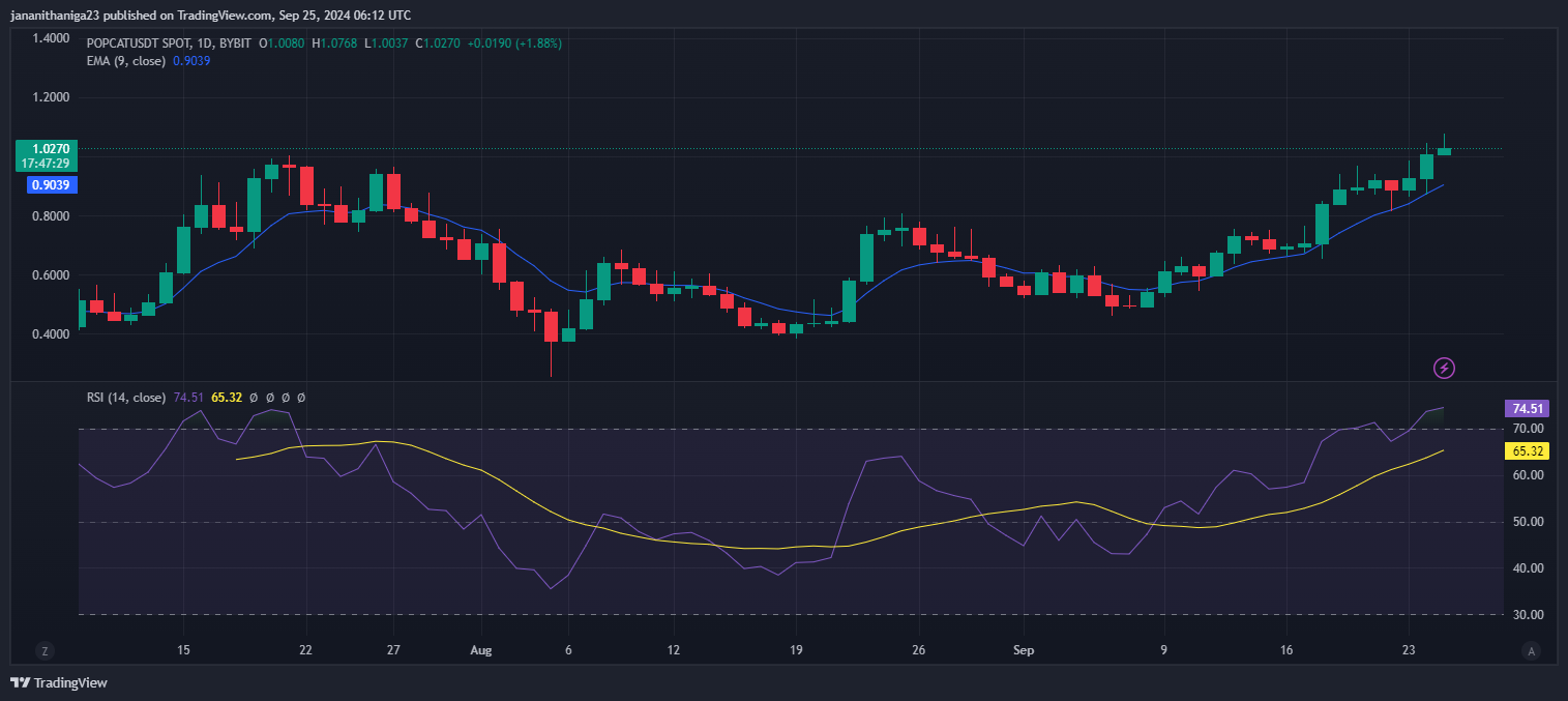 Why Is POPCAT the Most Talked About Memecoin Today? image 1