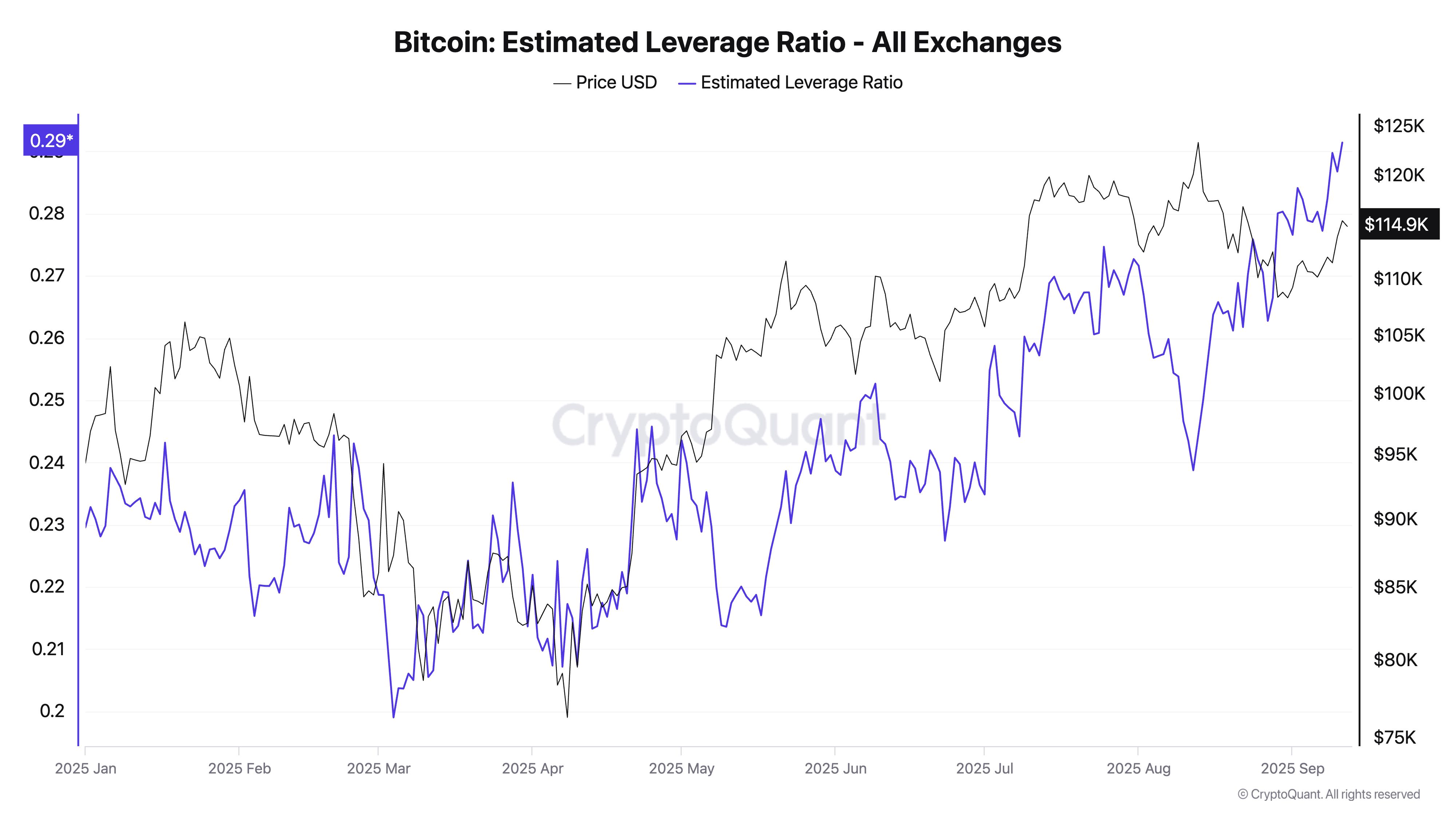 Bitcoin突破112,000美元關口，目標重返120,000美元，長期持有者加碼持倉 image 1