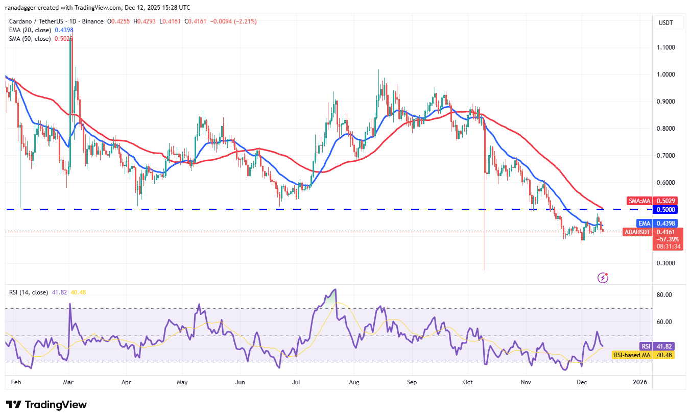 Previsioni dei prezzi 12/12: BTC, ETH, BNB, XRP, SOL, DOGE, ADA, BCH, HYPE, LINK image 7