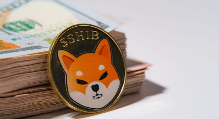 Le prix du Memcoin Shiba Inu pourrait baisser encore de 50 % dans un avenir proche