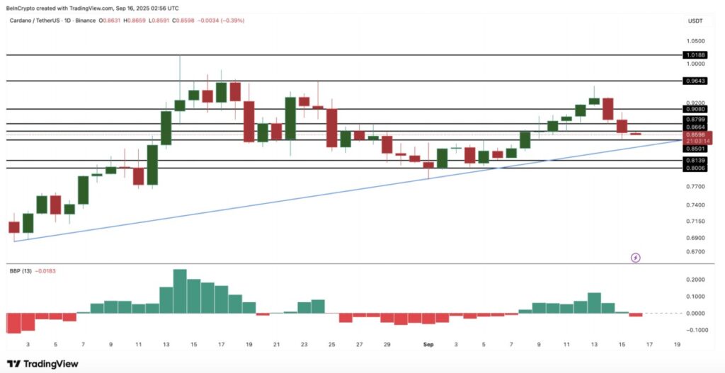 Whale Crypto Borong 3 Altcoin Ini Jelang Pertemuan FOMC, Apa yang Membuatnya Menarik? image 1