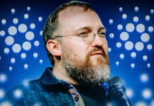 Cardano vor Gamechanger-Upgrade – Memecoins & Web3! Gründer Charles Hoskins: „Sehr bedeutend für Cardano“