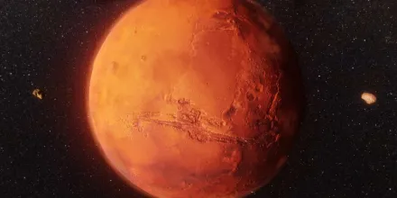 Opinión de Musk sobre GROK 4.1: el fondo de bitcoin está cerca de los 82,000 dólares