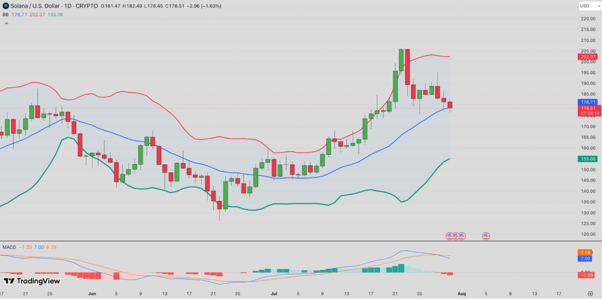Solana Bulls Stake 4.1M SOL as Price Holds $180 Post-ETF Approval: What’s Next? image 1