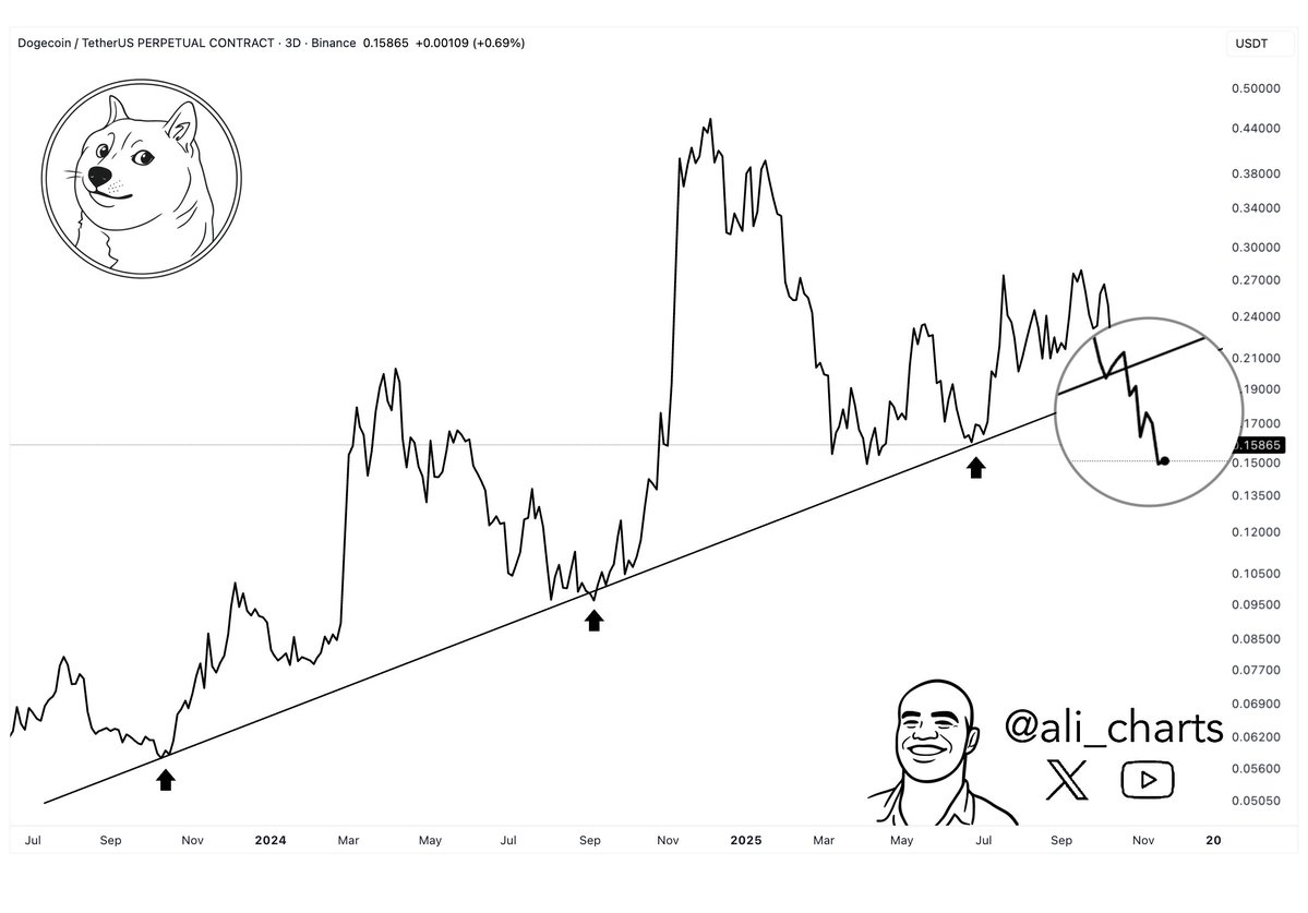 Dogecoin（DOGE）出現雙重警告，分析師指出支撐風險與趨勢線失守