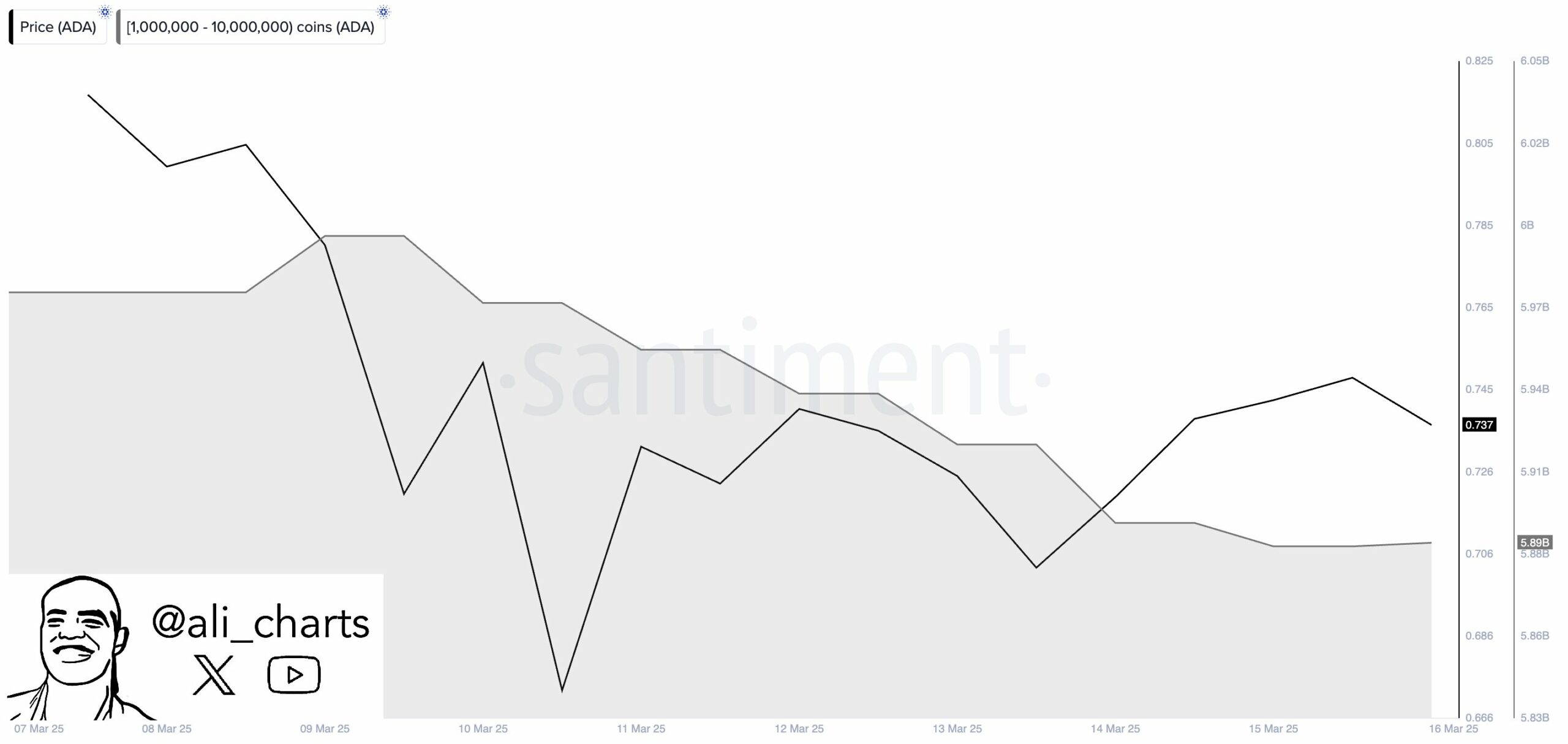 Cardano Whale Activity Raises Questions: Can Retail Investors Support ADA Amid Significant Sell-Off? image 0