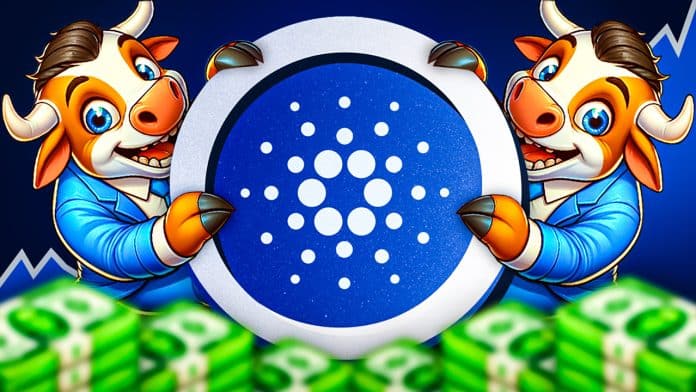 Wal-Aktivität bei Cardano: Ist langfristig eine Rallye in Sicht? image 1