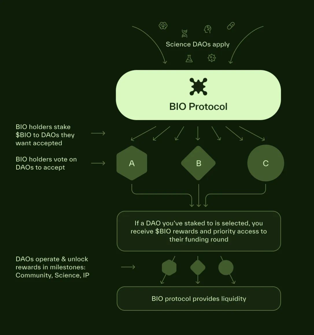 DeSciとBIOについて image 3