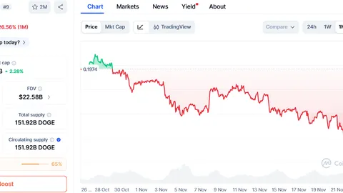 Топ-3 прогнози з високим зростанням: Ozak AI, BNB та DOGE виділяються