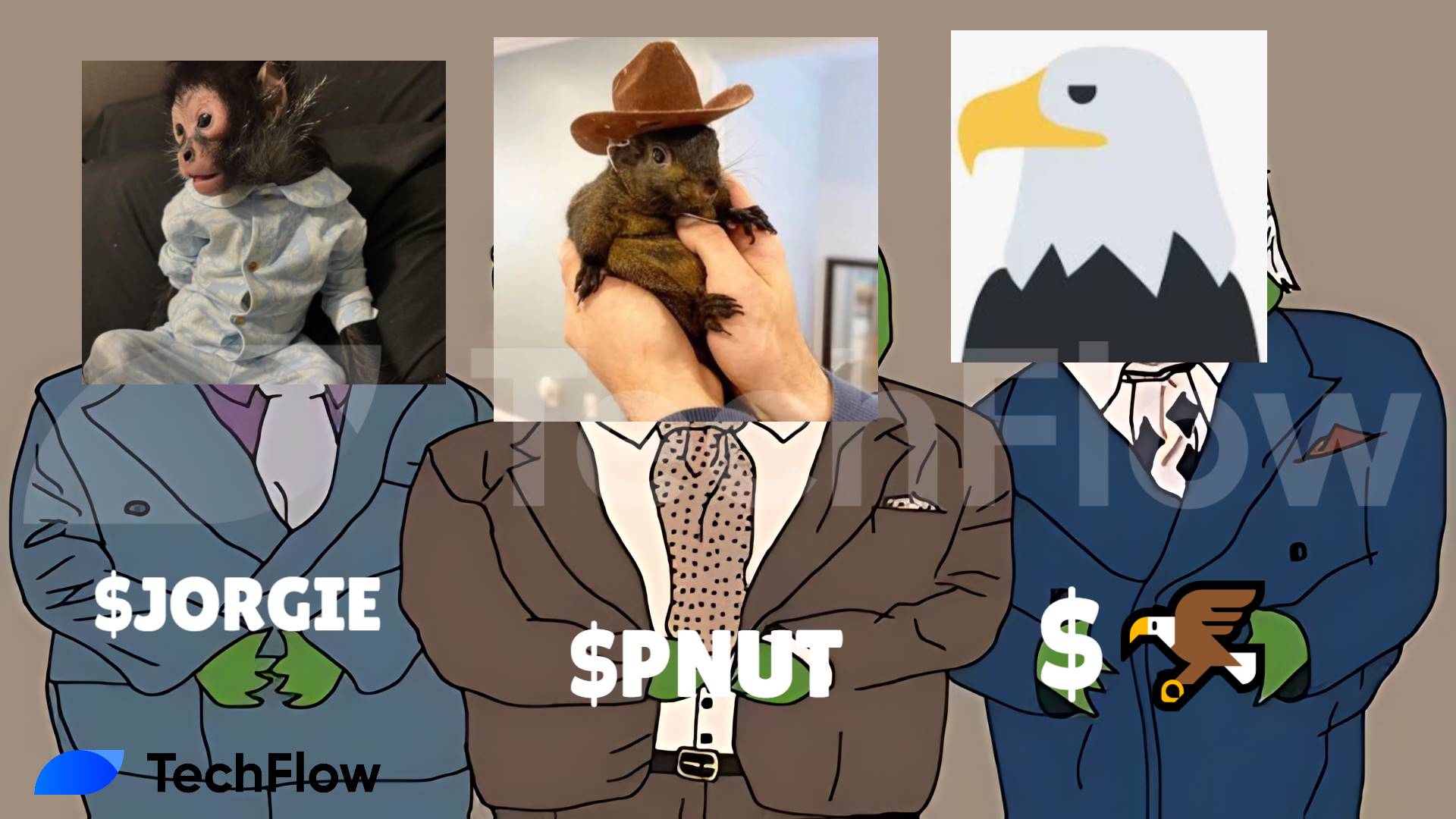 PNUT 带动“动物拯救”叙事，Jorgie 和老鹰成为小市值 Meme 新宠 | 今日 Meme 角度大赏 image 0